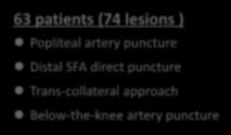 Consecutive cases of distal SFA puncture Retrograde approach for SFA-CTO 78 patients (89 lesions) 63 patients (74 lesions ) excluded Popliteal artery puncture