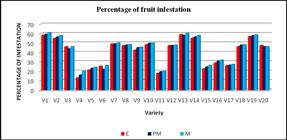 Table.3 Correlation coefficient (r) between percent fruit infestation with different biochemical fruit traits of pumpkin varieties/ genotypes TSE TSP TSM TPE TPP TPM EI PI MI EI.861**.886**.912** -.