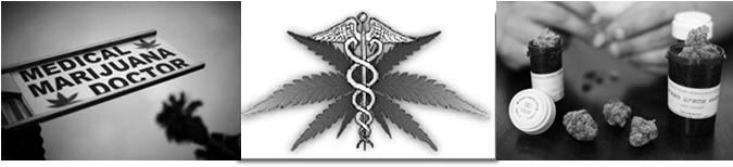 Medical Marijuana Kent W.