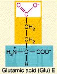 Acidic Have carboxyl side chains and are therefore negatively charged at physiological ph (around ~ ph 7)