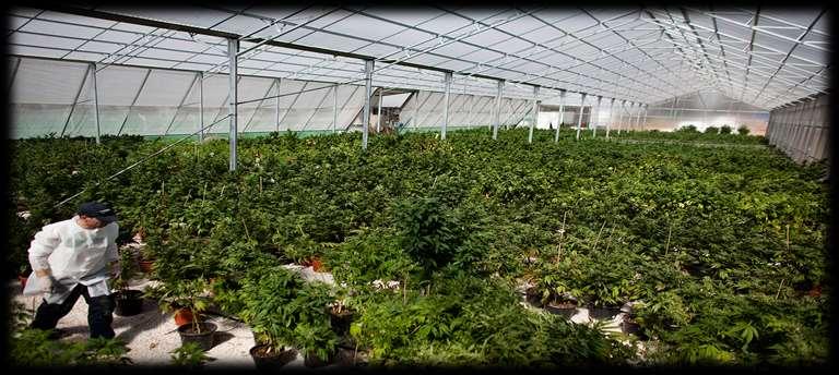 Cultivation Facility Industrial space, nursery, or raw land for new
