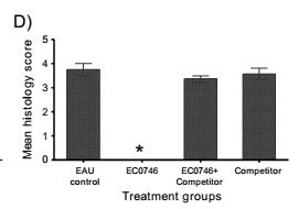 Taken up by activated macrophages Treated rats with S-Antigen peptide EAU 8 days after