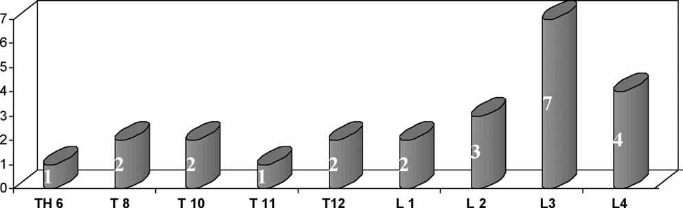 Number of treated vertebrae (n = 24) facilitate secure implant anchorage and provide the contact required between the implant and the adjacent vertebral body end plates.