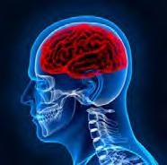 Concussion Summary Concussions are common and must be taken seriously Use these guidelines as