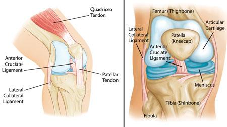Knee injury is one of the most common reasons people see their doctors. Your knee is a complex joint with many components, making it vulnerable to a variety of injuries.