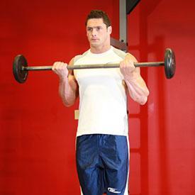 BARBELL CURL 1. Stand up with your torso upright while holding a barbell at a shoulder-width grip. The palm of your hands should be facing forward and the elbows should be close to the torso.