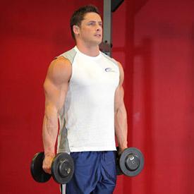 HAMMER CURLS 1. Stand up with your torso upright and a dumbbell on each hand being held at arms length. The elbows should be close to the torso. 2.