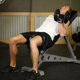 INCLINE DUMBBELL CURLS 1. Sit down on an incline bench with a dumbbell in each hand being held at arms length. Tip: Keep the elbows close to the torso.this will be your starting position. 2.