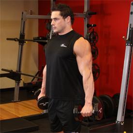 While holding the upper arm stationary, curl the weights while contracting the biceps as you breathe out. Only the forearms should move.