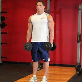 DUMBELL SHRUGS 1. Stand erect with a dumbbell on each hand (palms facing your torso), arms extended on the sides. 2.
