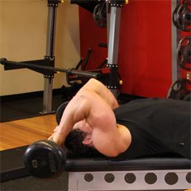 SKULLCRUSHERS 1. While holding a barbell or EZ Curl bar with a pronated grip (palms facing forward), lie on your back on a flat bench with your head close to the end of the bench.