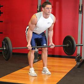 REVERSE GRIP BENT-OVER ROWS 1. Stand erect while holding a barbell with a supinated grip (palms facing up). 2.