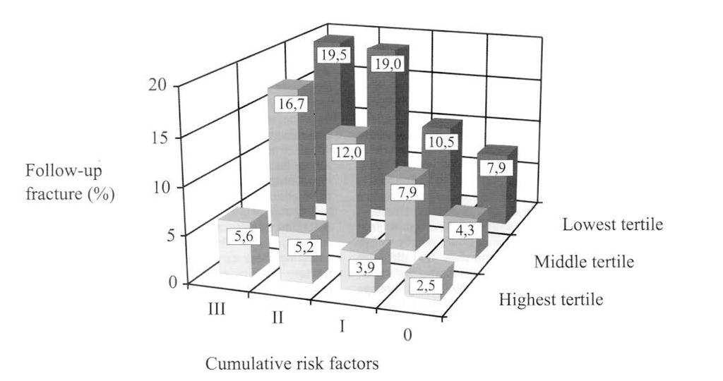 Bone Density and Cumulative Risk Factors - Kuopio
