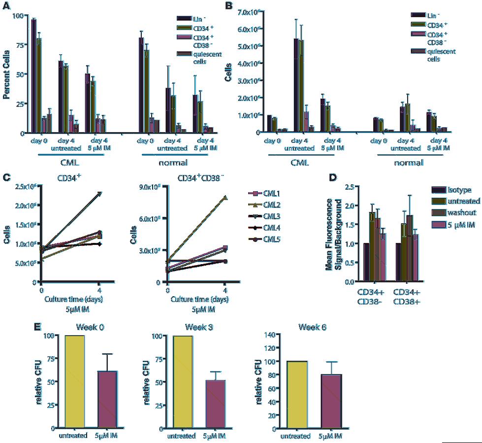 Figure 6 Survival and expansion of different CML stem and progenitor cell immunophenotypic and functional subtypes following culture with imatinib.