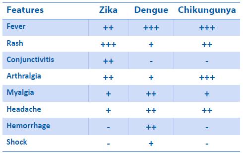 Zika vs Dengue
