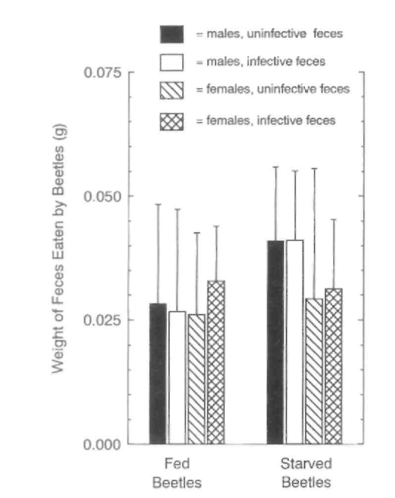 Fig. 3. Summary of data for the ingestion of fecal material by beetles. Each bar represents the mean (± S.D.) of 20 fecal pellets (10 experiments, each containing 2 fecal pellets).