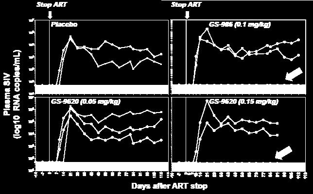 SIV pvl Rebound after Stopping ART 2 of 9 animals treated with TLR7 agonists have undetectable plasma