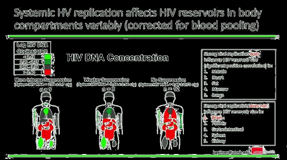 Whole body mapping of HIV