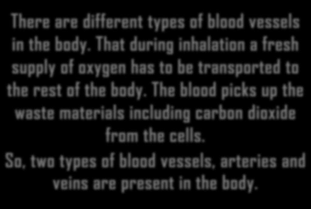 BLOOD VESSELS There are different types of blood