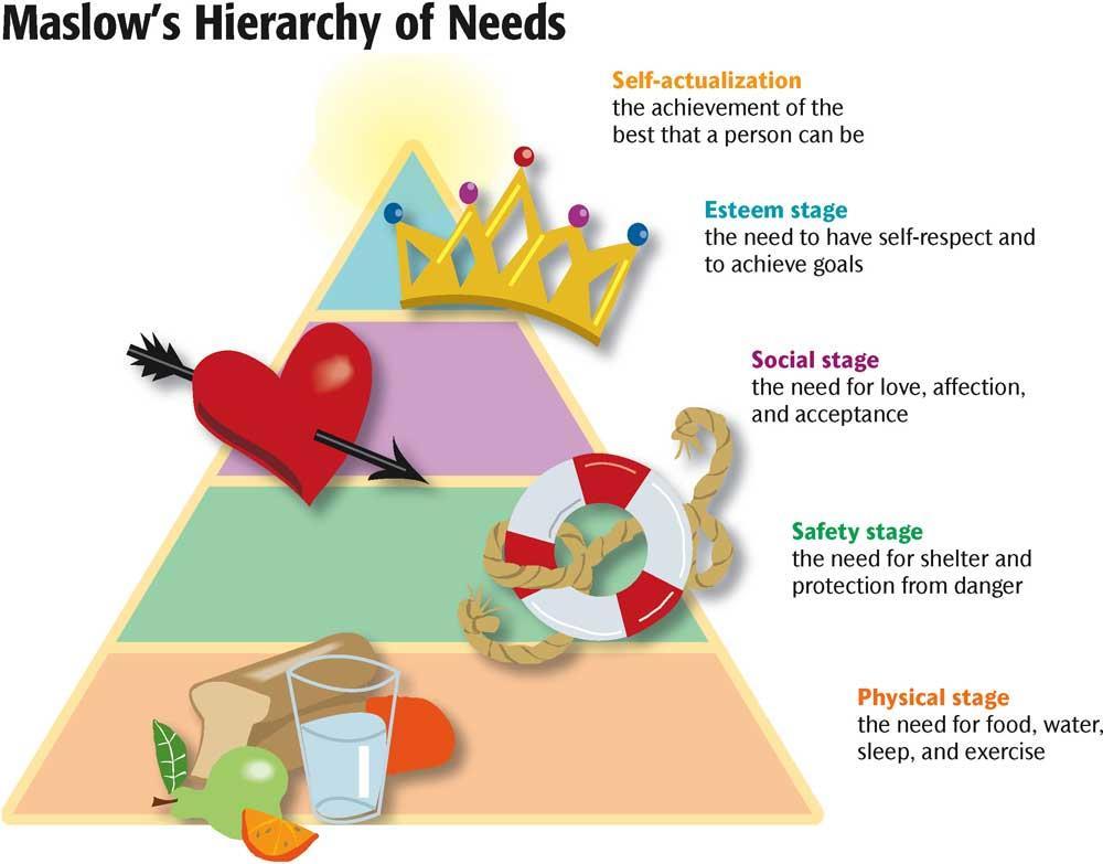 Maslow s Hierarchy of Needs A list of the basic needs one must achieve on the way to selfactualization.