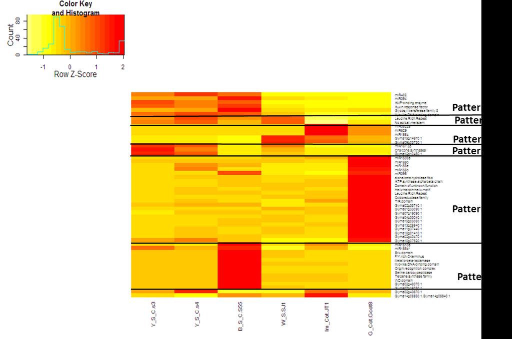 Figure 10. Expression profile of small RNA generating loci: Heatmap was generated by using heatmap.2 in the gplots s package of R program.