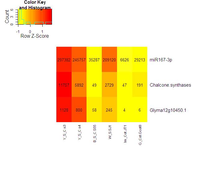 Figure 10c. Expression profile of small RNA generating loci for pattern3: small RNAs that are only strongly expressed in yellow seed coat tissues.