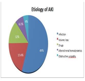 Etiology Out of 172 patients with AKI, 35 patients had chronic kidney disease. Infection accounted for 48.8% of all cases followed by volume loss (17.4%) and drugs (12%).