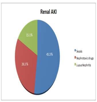 Bar Diagram 3- Etiology of AKI in Study Group Pre-renal cause accounted for 84 cases, Renal cause for 79 cases and Post-renal cause for 7 cases (Bar Diagram- 4).