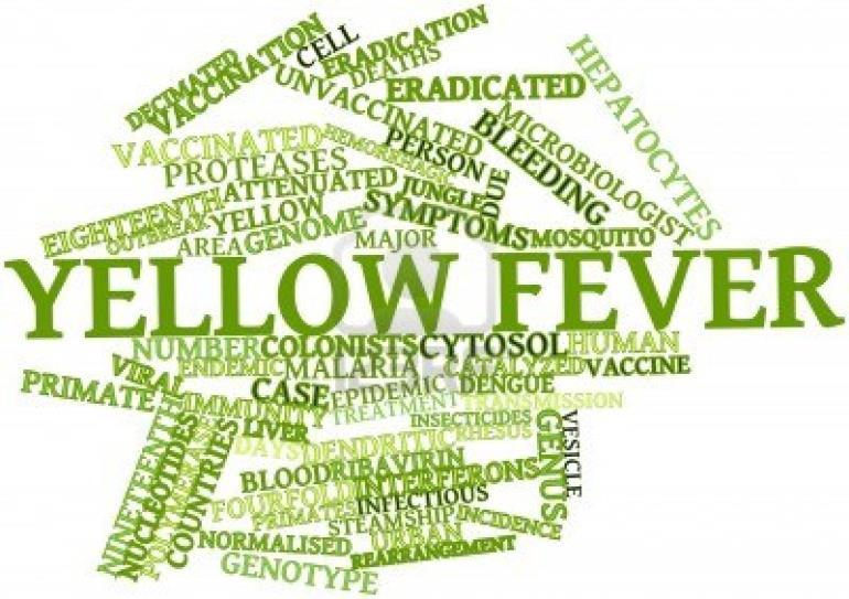 Yellow Fever Vaccine Booster Doses: Recommendations of the ACIP, 2015 MMWR, June 19, 2015; 64(23):647-650 What is currently recommended? Why are the recommendations being modified now?