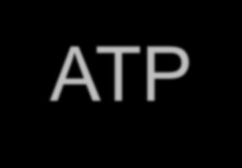 ATP Mitochondria convert glucose and other nutrients into adenosine triphosphate (ATP) ATP