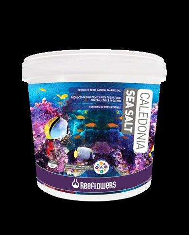 Containing no additives, ReeFlowersCaledonia Sea Salt is enriched with high purity grade minerals (kh, calcium, magnesium, potassium and strontium) to facilitate the fast, healthy growth of corals