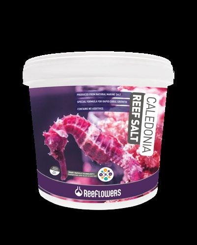 Containing no additives, ReeFlowers Caledonia Reef Salt is enriched with high purity grade minerals (kh, calcium, magnesium, potassium and strontium) to facilitate the fast, healthy growth of corals