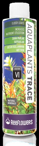 It is recommended to use a daily dosage of 2 ml per 100 lt in a freshwater aquarium with medium plant density. A 1 ml solution provides a 0.2 ppm increasing in 100 lt.