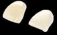 Common indications: Bonding thin porcelain veneers 3M RelyX