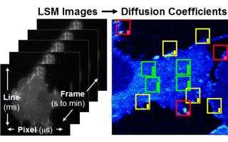 FCS and other correlation imaging techniques Hidden time structure in scanning process Other ICS