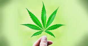Alternative treatments S Medical marijuana S S S S anecdotally up to 45% found