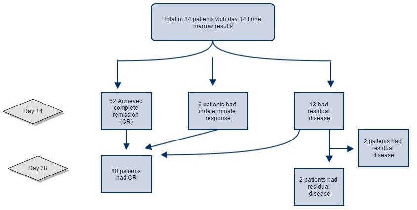 DOI:10.22034/APJCP.2018.19.2.421 Figure 1. Flow Chart of 84 Patients with AML Included in the Study and Their Outcomes Based on Day 14 and Day 28 Bone Marrow Biopsy Table 3.