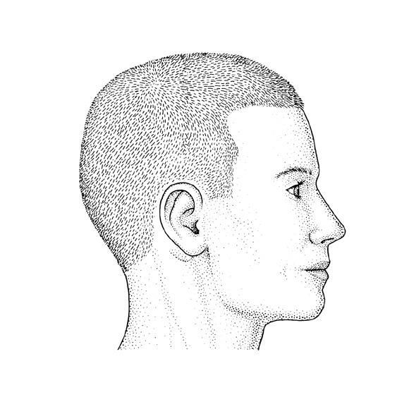 Case Studies Which part of the head
