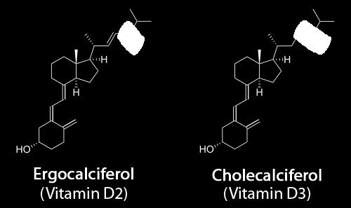 supplement occurs as ergosterol in fungi and plants) Vitamin D3