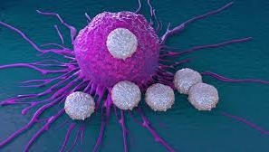 NOX66: Immuno-oncology drug Confirmed: NOX66 increases activity of natural killer