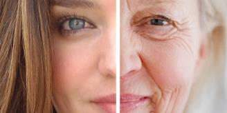 Effects of Aging The epidermis thins and stem cell (stratum basale) activity declines, resulting in more injury and infection.