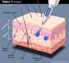 Tattoos Tattoos work by injecting small droplets of ink into the dermis. Since the cells of the dermis are more stable than the epidermis, the tattoo is permanent.