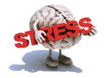 Stress & The Body, Mind and