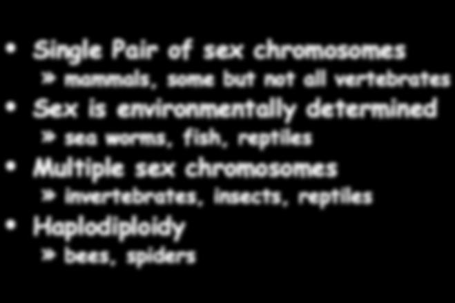 Jost Experiments Sex Determination: The Jost Paradigm Paramesonephric s ( s) Ovary Oviduct Uterus Mesonephric s ( s) Testis Epididymis Vas Epidi Deferens dymi Seminal Vesicles s Gonadal Sex