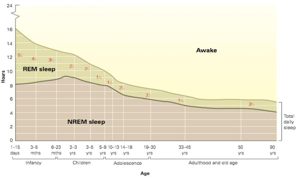 Sleep-Wake Cycle Shift During Adolescence Studies show that adolescences require more than 9 hours of sleep to function properly when awake, but they tend to have sleep problems that stop this from
