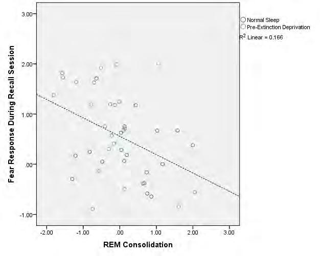Figure 2: Relationship between REM sleep consolidation on Night 2 and extinction recall on Day 3, by group.