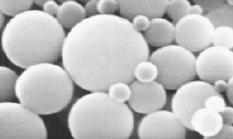 Liposomak Mikro/nano kapsula Mikro/nano esfera Liposomak Wikillerato web-orrian argitaratua