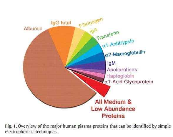 Farmakoen lotura proteina plasmatikoekin 6 Farmakoekin lotzen diren