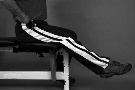 Quad Active Hamstring- Sitting on a firm chair (not a couch or bed) assume spinal neutral (Picture 6).