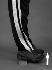 Step back so only the balls of the feet are on the platform and hold the sole of your foot parallel with the floor or 2.
